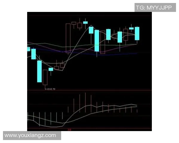 深入分析FPX战队的防守策略与战术执行细节